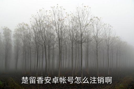 楚留香安卓帐号怎么注销啊
