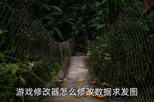 游戏修改器怎么修改数据求发图
