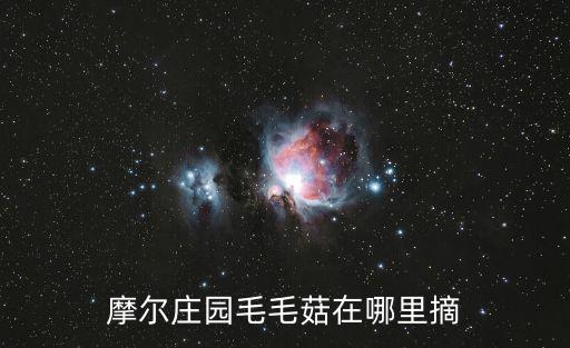 摩尔庄园毛毛菇在哪里摘