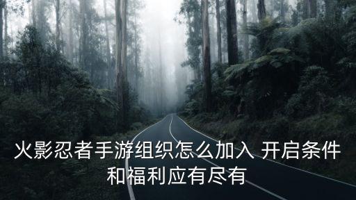 火影忍者手游组织怎么加入 开启条件和福利应有尽有