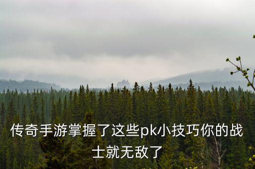 传奇手游掌握了这些pk小技巧你的战士就无敌了