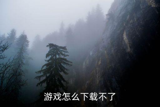 游戏怎么下载不了