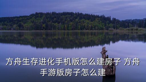 方舟手游里的建筑怎么建，方舟建筑怎么样一直放天花板