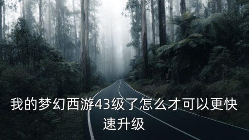 我的梦幻西游43级了怎么才可以更快速升级