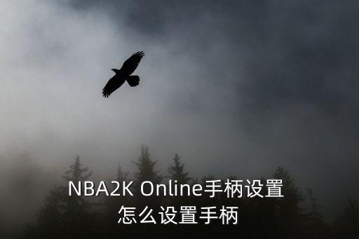 NBA2K Online手柄设置 怎么设置手柄