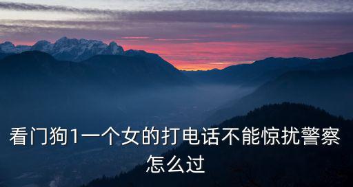 看门狗1一个女的打电话不能惊扰警察怎么过