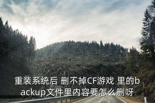cf手游不用的资源包怎么删除，重装系统后 删不掉CF游戏 里的backup文件里内容要怎么删呀