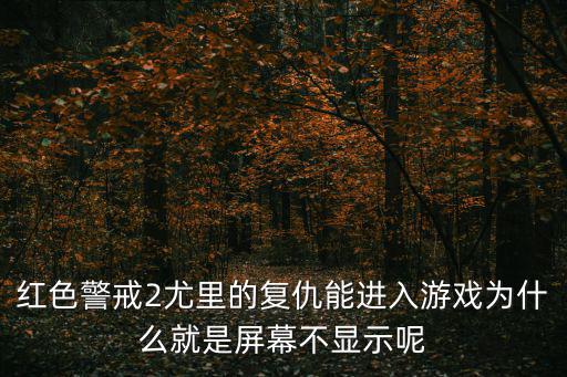 红色警戒2尤里的复仇能进入游戏为什么就是屏幕不显示呢