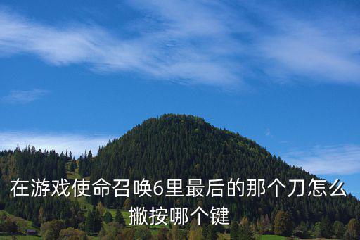 在游戏使命召唤6里最后的那个刀怎么撇按哪个键