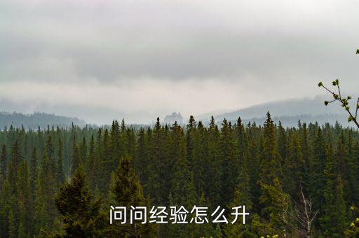 问问经验怎么升