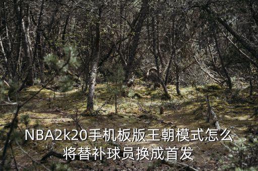 2k手游王朝模式怎么换人，2k22生涯模式怎么换队友