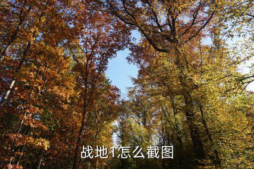 战地1怎么截图