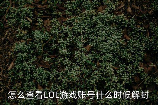 怎么查看LOL游戏账号什么时候解封