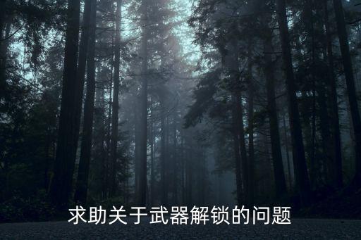 求助关于武器解锁的问题