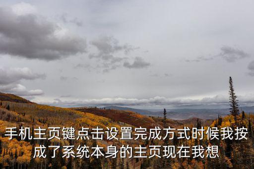 使命召唤手游主页怎么设置枪，手机主页键点击设置完成方式时候我按成了系统本身的主页现在我想