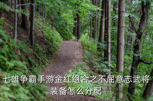七雄争霸手游金红组合之不屈意志武将装备怎么分配