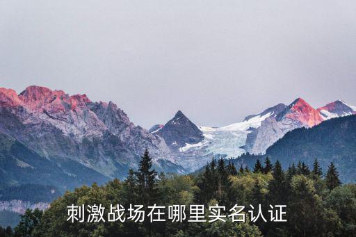 刺激战场在哪里实名认证