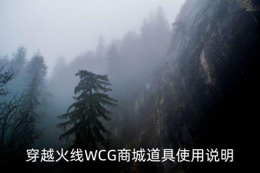 cf手游道具商城怎么用微信，穿越火线WCG商城道具使用说明