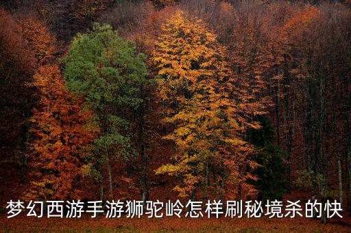 梦幻西游手游狮驼岭怎样刷秘境杀的快