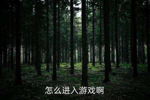 怎么进入游戏啊
