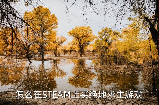 怎么在STEAM上买绝地求生游戏