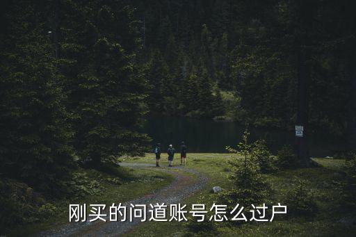 刚买的问道账号怎么过户