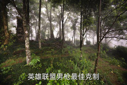 英雄联盟男枪最佳克制