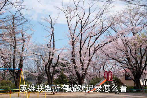 英雄联盟所有游戏记录怎么看