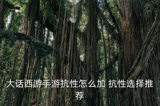 大话西游手游抗性怎么加 抗性选择推荐