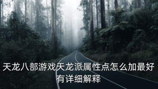 天龙八部游戏天龙派属性点怎么加最好有详细解释