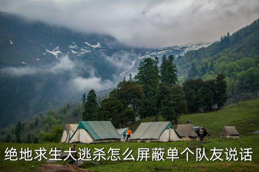 手游吃鸡用电脑怎么屏蔽队友麦，绝地求生大逃杀怎么屏蔽单个队友说话