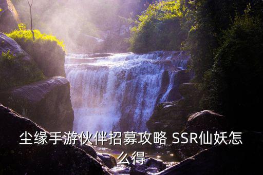 尘缘手游伙伴招募攻略 SSR仙妖怎么得