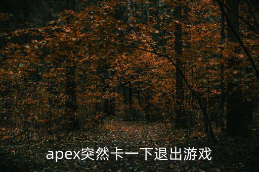 apex突然卡一下退出游戏