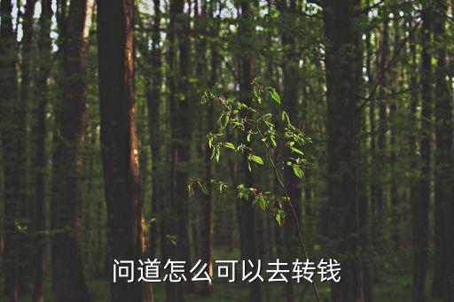 问道怎么可以去转钱