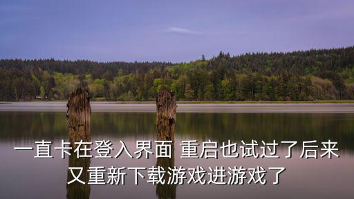 一直卡在登入界面 重启也试过了后来又重新下载游戏进游戏了