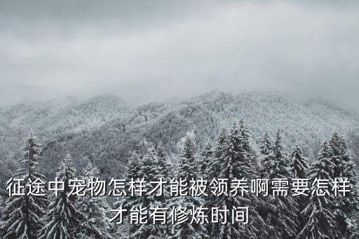 征途中宠物怎样才能被领养啊需要怎样才能有修炼时间