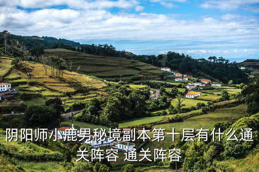 阴阳师小鹿男秘境副本第十层有什么通关阵容 通关阵容