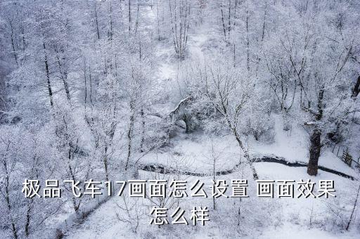极品飞车17画面怎么设置 画面效果怎么样