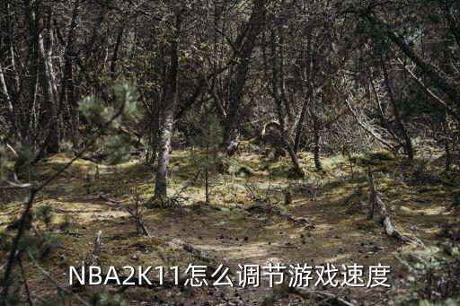 NBA2K11怎么调节游戏速度