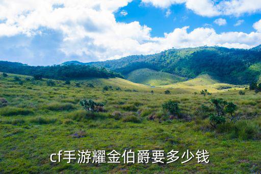 cf手游耀金伯爵要多少钱