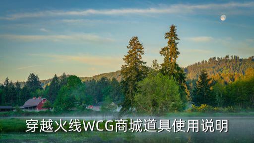 穿越火线WCG商城道具使用说明