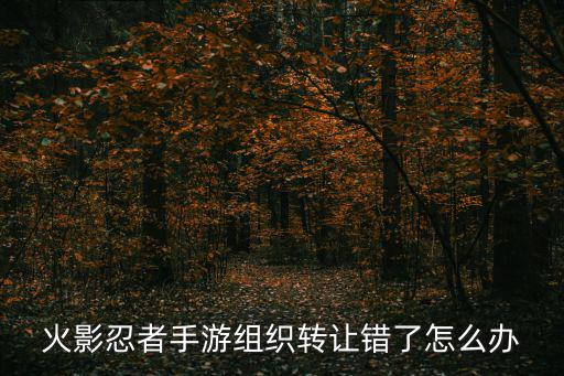 火影忍者手游组织转让错了怎么办
