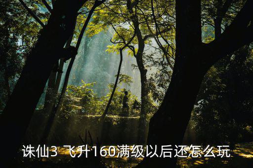 诛仙3 飞升160满级以后还怎么玩