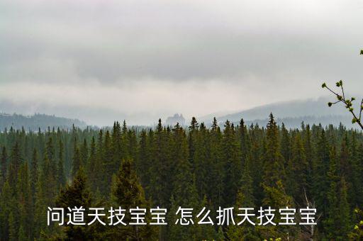 问道手游怎么抓带天技云兽宝宝，问道里怎么可以获得云兽带天技的宝宝详细点