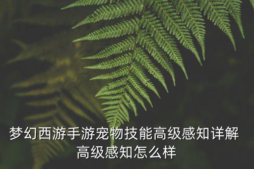 梦幻西游手游宠物技能高级感知详解 高级感知怎么样