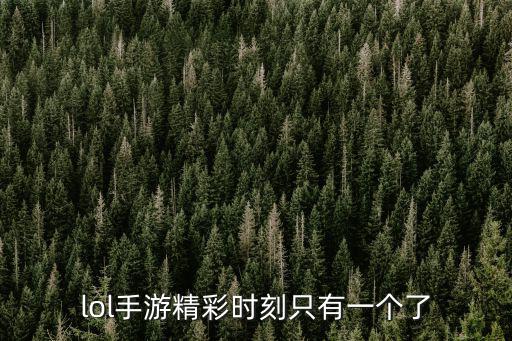 lol手游精彩时刻只有一个了