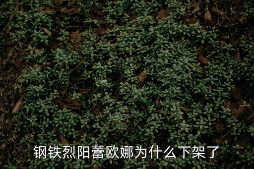 钢铁烈阳蕾欧娜为什么下架了