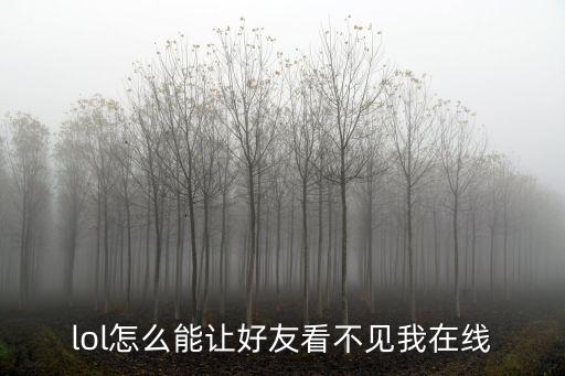 lol怎么能让好友看不见我在线