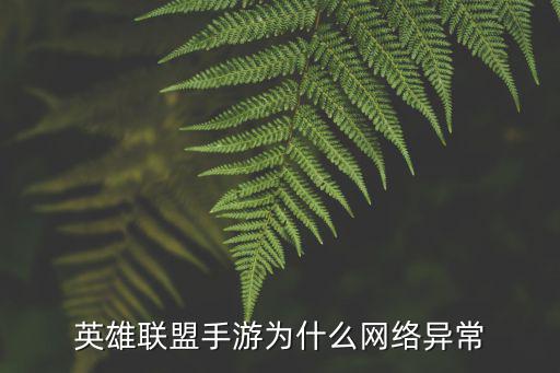 英雄联盟手游为什么网络异常