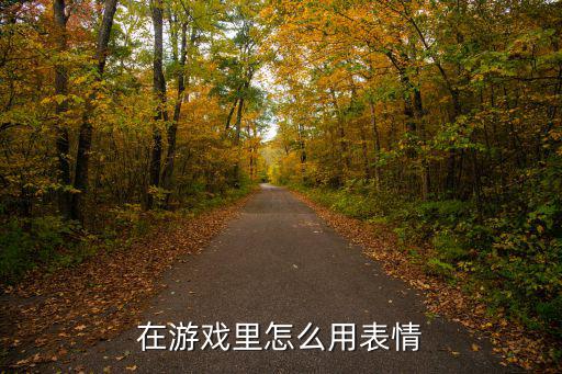 在游戏里怎么用表情
